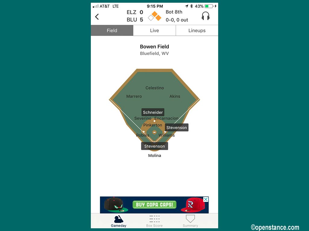 MiLB thinks the ballpark is in West Virginia. A Molina is catching!
